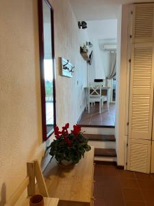 Casetta Spinnaker img15