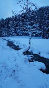 gite cocoon neuf proche GERARDMER