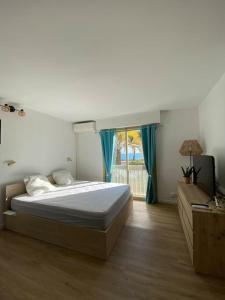 Grands studio en bord de mer