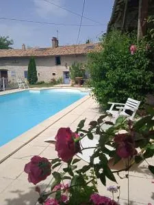 CoucouHirondelle - Blanzay