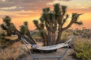 Desert Diamond- Joshua Tree Cowboy Pool and Spa - Pioneertown