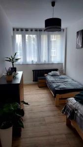 Apartament Iwona