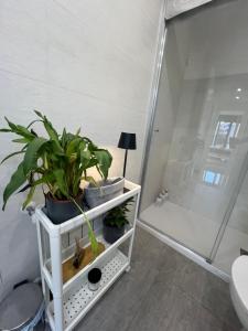 Valencia Old Town Suite