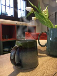 Grottino 3a Apartment