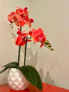 Nataly New luxury apartment on Black sea