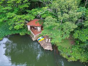 La Perezosa en Cerro Azul - Somos Pet friendly