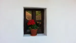 Zempléni Pitvaros Pihenő - Fony