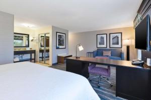 King Studio Suite with Sofa Bed - Non-Smoking room in Hampton Inn and Suites Flint/Grand Blanc