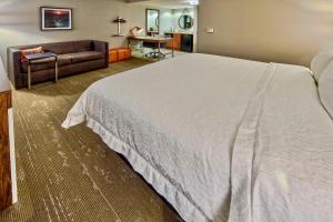 King Studio Suite - Non-Smoking room in Hampton Inn & Suites Fort Myers Estero