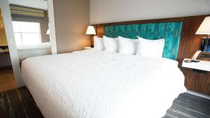 King Room with Accessible Tub - Mobility and Hearing Access/Non-Smoking room in Hampton Inn & Suites St Clairsville Oh
