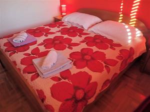 Apartment in Jasenice 35406