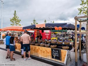 Maisons de vacances Maison 6 pers. a Biscarrosse, proche lac, jardin, BBQ, WiFi, parking, menage inclus - FR-1-319-479 : photos des chambres