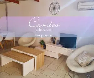 Caméos - appartement avec terrasse LocAirbi - 圣埃尔斯