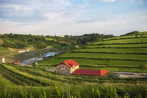 5 hvězdičkový penzion Sarea-n Bucate (Crama la Salina) Turda Rumunsko