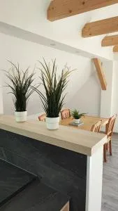 Dammstraße 24-DG-ZV38 - Elbe