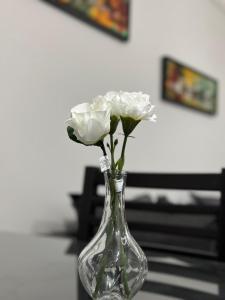New Cairo Modern apartment