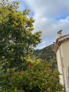 Appartements l’Anita : photos des chambres