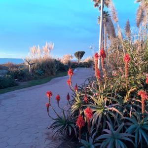 Relaxing beach side apartment in Costalita