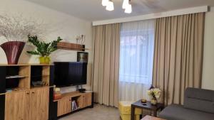 Apartament Renii