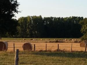 Maison familiale avec piscine, grand jardin clos et équipements de loisirs - FR-1-306-898