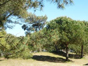 Appartements Appartement Calme Proche Plage avec Terrasse Sud, Parking Securise et Equipements Complets - FR-1-306-909 : photos des chambres