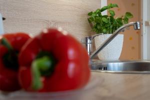 STR 294 - Appartementhaus Strandallee