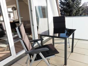 AMH 002 - Silbermöwe