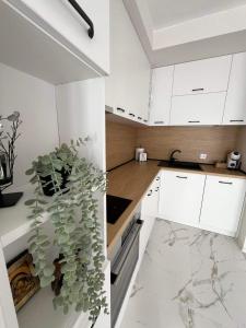 Harmony apartment- 4 People- new modern flat-by the sea