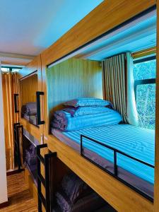 Giường Trong Phòng Ngủ Tập Thể Cho Cả Nam Và Nữ 6 Giường (Bed in 6-Bed Mixed Dormitory Room)