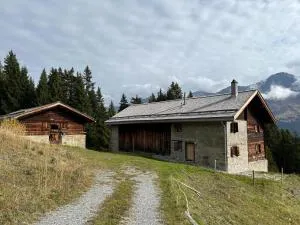 Tech-Free Haven - Acla Sissi - Lenzerheide - Pratval
