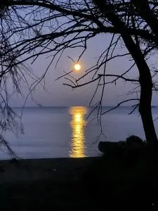 Stathis Beachfront Apartment - Stratónion