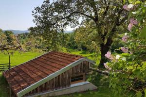 Villas Gite maison entiere, piscine interieure chauffee privee, proche Alsace : photos des chambres