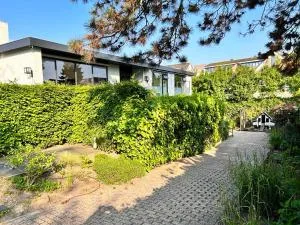 Villa Park - 希勒霍姆