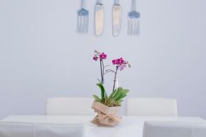 Apartamento Gaudí-Sant Pau