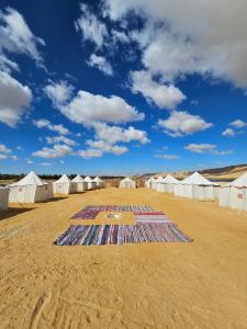 flamingo camp