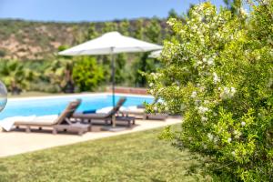 Villa con piscina - Alghero - “VILLA ELENA” img42