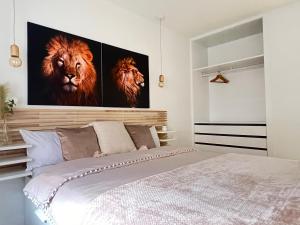 Housing León San Pedro