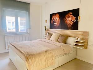 Housing León San Pedro