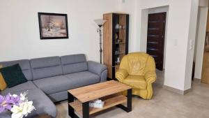 Apartament Renii