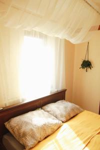Apartament ZAMURNA 4