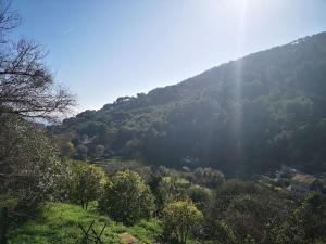 Appartements beautiful apartment in Villa Sandrinella : photos des chambres