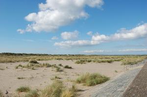 Hafan Y Traeth Beach Front Apartment in Barmouth