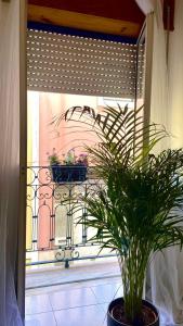 Chiado Apartment with Terrace 1