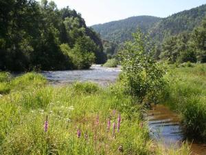 Maison familiale avec terrasse, grand terrain et proche de la rivière - Alleyras, 6 pers. - FR-1-582-244