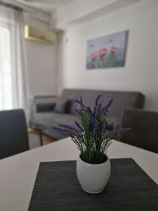 Stan Na Dan 022 - Inđija