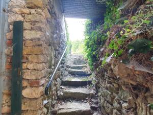 Maisons de vacances Gite Sivry-sur-Meuse, 4 pieces, 6 personnes - FR-1-585-50 : photos des chambres