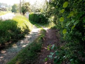 Maison de caractère 12 pers, nature & confort, proche ski, pêche possible - FR-1-589-40