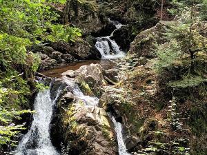 Gîte à la montagne avec cheminée, wifi et joli terrain - FR-1-589-179
