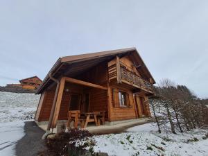 Chalet chaleureux face aux pistes, proche Gérardmer, idéal pour famille, balcon et terrasse - FR-1-589-182