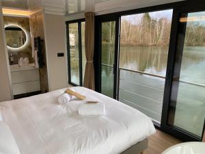 Bateaux Escale Royale Saint Fargeau : photos des chambres